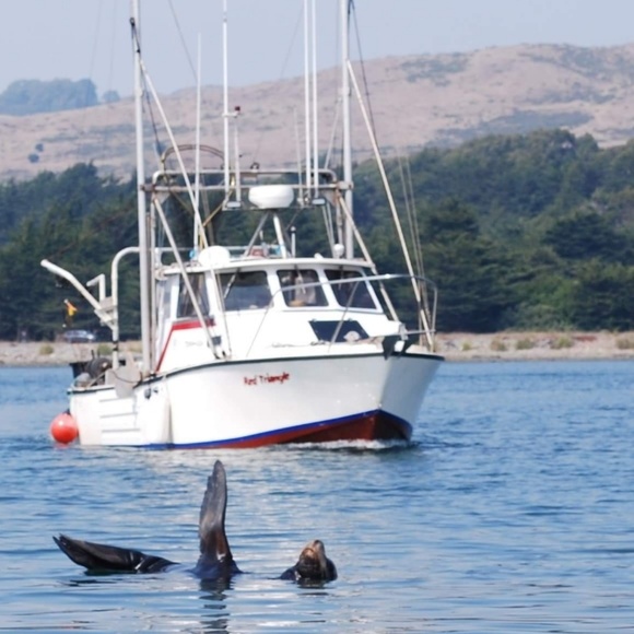 Meet your Posher, Gladys - Picture 2 of 5